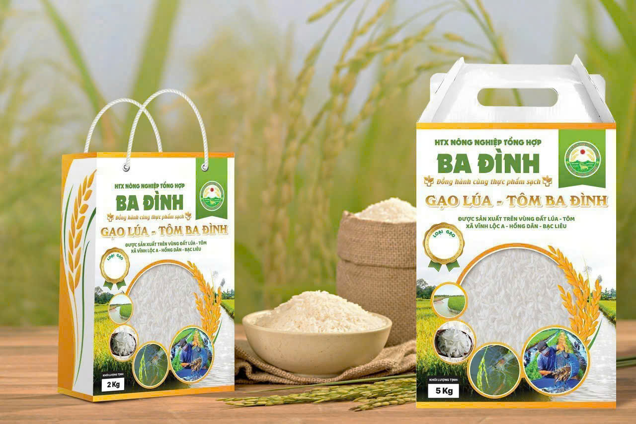 Gạo lúa tôm Ba Đình - Hợp Tác Xã Nông Nghiệp Tổng Hợp Ba Đình